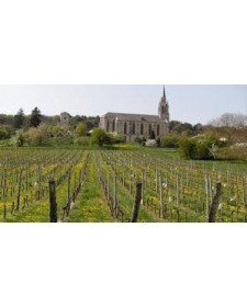 Vin gris de Côtes de Toul, Cuvée des Saveurs, produit par le domaine Régina (Bruley, 54)