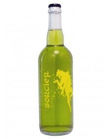 Bière du Sorcier 75cl, bière verte aux orties
