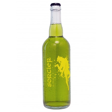 Bière du Sorcier 75cl, bière verte aux orties