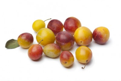 Recette de la tarte aux mirabelles : un classique de Lorraine